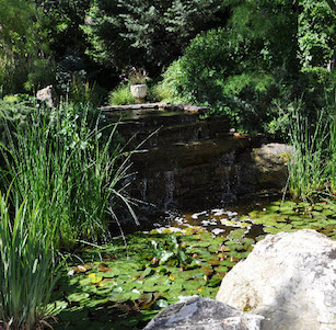 Salt Lake City Pond Garden